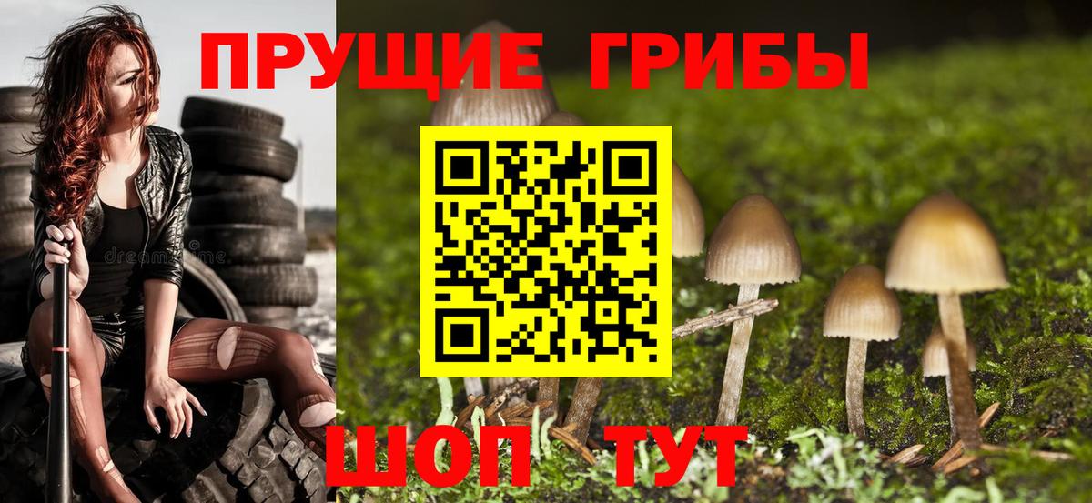 Псилоцибиновые грибы MAGIC MUSHROOMS  Вход с VPN  Тулун 